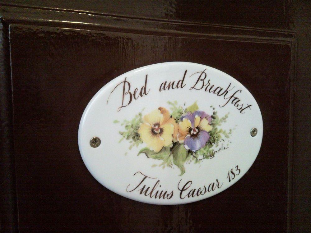 Blue Suite Vatican Guesthouse Roma Ngoại thất bức ảnh